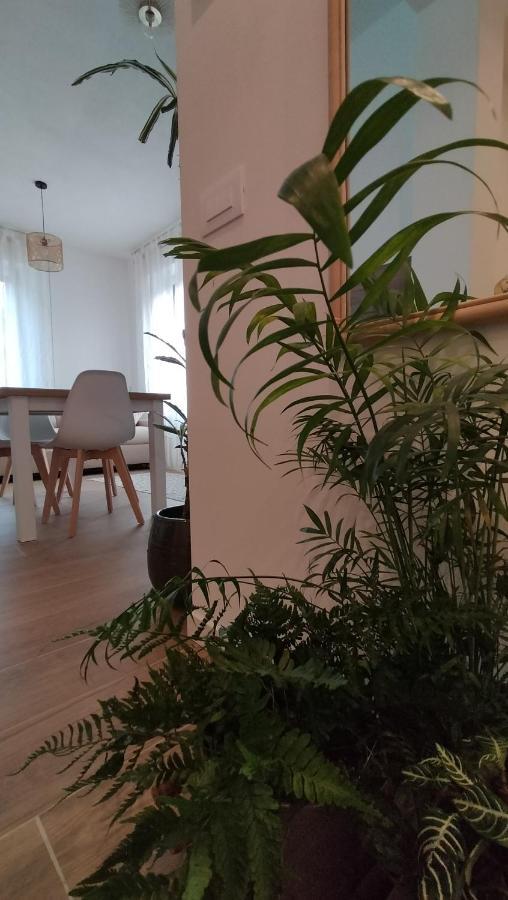 Valtellina Vacanze Sondrio Ngoại thất bức ảnh